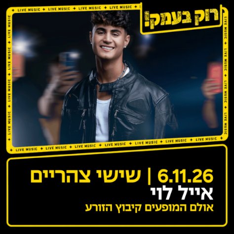 אייל לוי